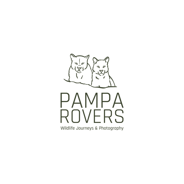 Pampa Rovers Logo